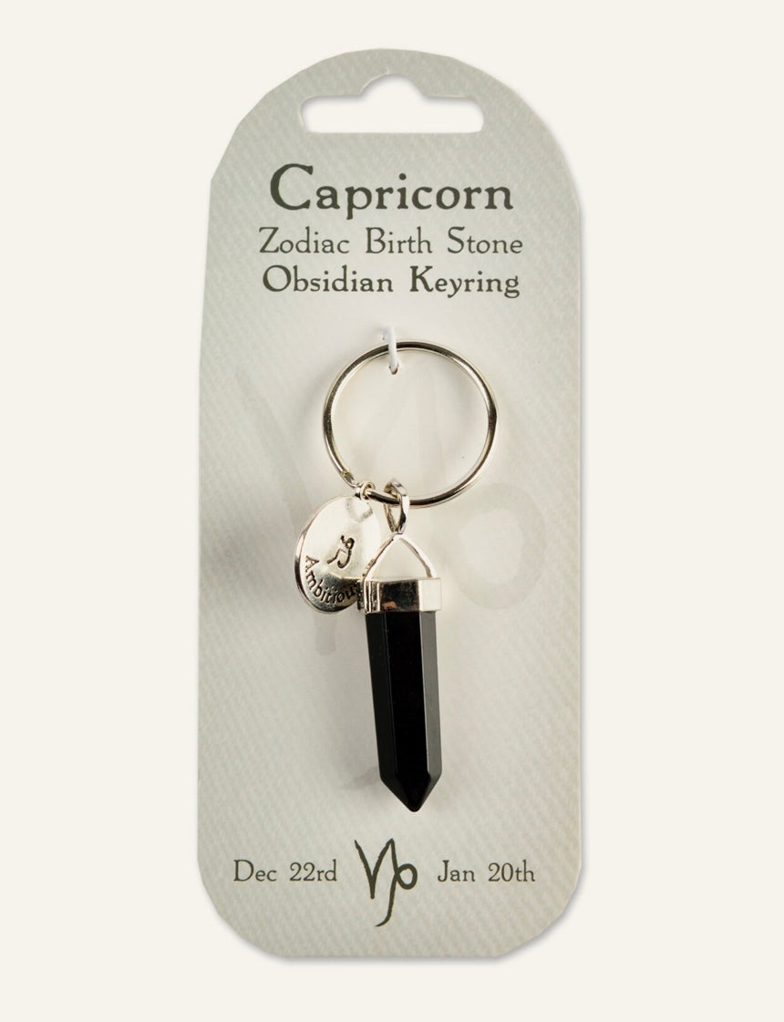 Capricorn birth stone keyring